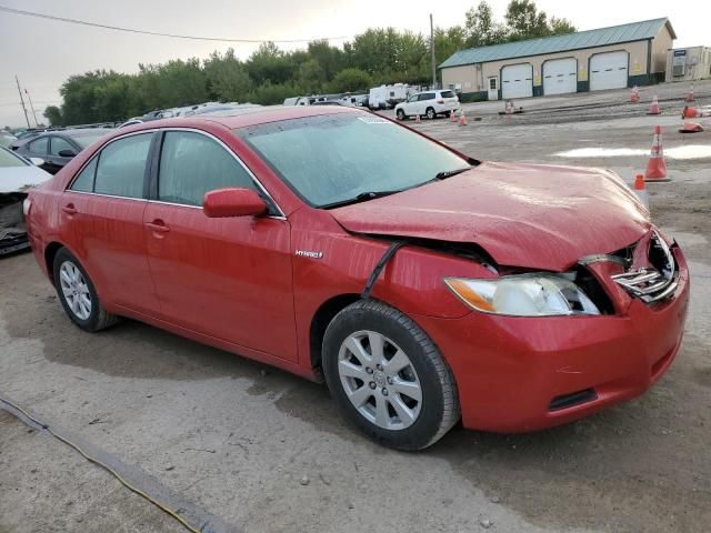 2009 Toyota Camry Hybrid