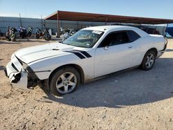Vehiculos salvage en venta de Copart Andrews, TX: 2010 Dodge Challenger SE