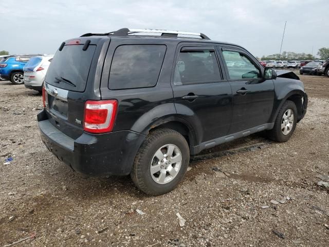 2011 Ford Escape Limited