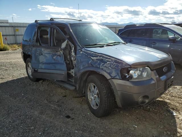 2005 Ford Escape XLT