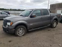 Ford salvage cars for sale: 2012 Ford F150 Supercrew