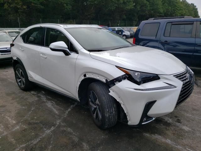 2020 Lexus NX 300H