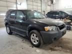 2005 Ford Escape XLT