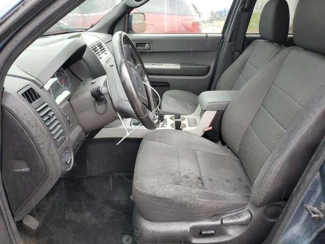 2011 Ford Escape XLT