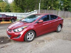 Salvage cars for sale from Copart Portland, OR: 2015 Hyundai Elantra SE