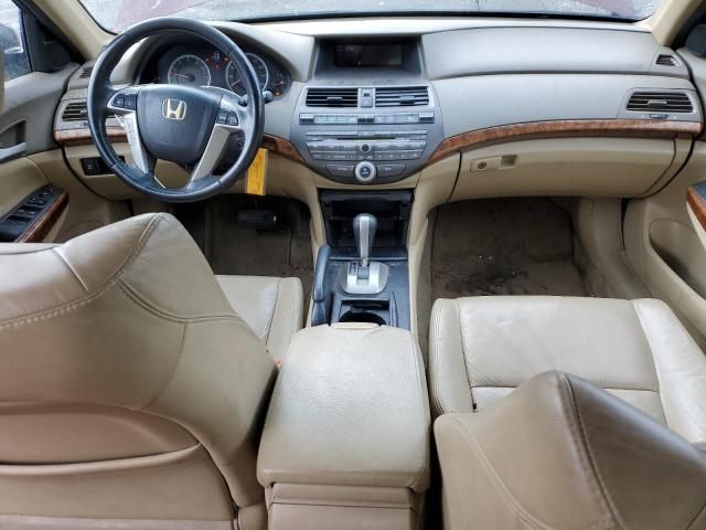 2010 Honda Accord EXL