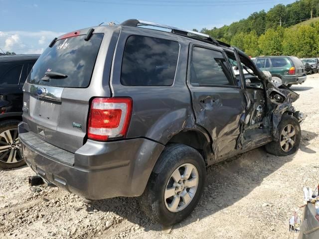 2011 Ford Escape Limited