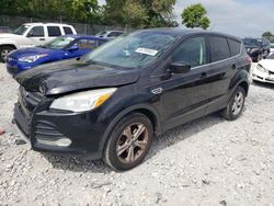 Ford Escape SE salvage cars for sale: 2013 Ford Escape SE