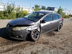 Salvage cars for sale from Copart London, ON: 2014 Ford Focus SE