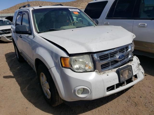 2012 Ford Escape XLT