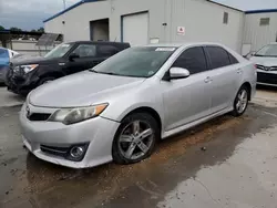 Salvage cars for sale at New Orleans, LA auction: 2013 Toyota Camry L