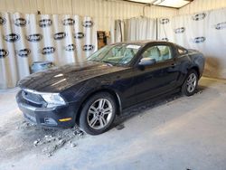 Salvage cars for sale at Tifton, GA auction: 2011 Ford Mustang