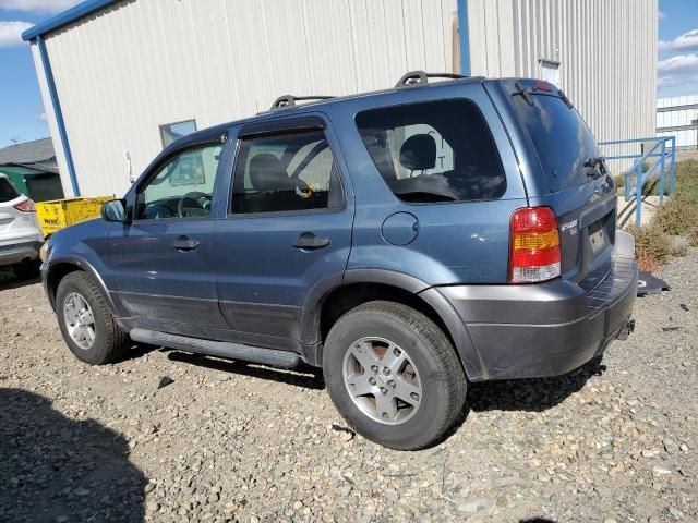 2005 Ford Escape XLT