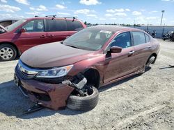 Salvage cars for sale at Antelope, CA auction: 2017 Honda Accord Sport Special Edition