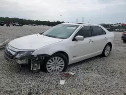 Salvage cars for sale at Memphis, TN auction: 2010 Ford Fusion Hybrid