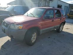 Salvage cars for sale at Corpus Christi, TX auction: 2007 Ford Escape XLT