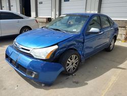 Salvage cars for sale at Earlington, KY auction: 2010 Ford Focus SEL