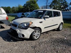 Salvage cars for sale at Central Square, NY auction: 2013 KIA Soul +
