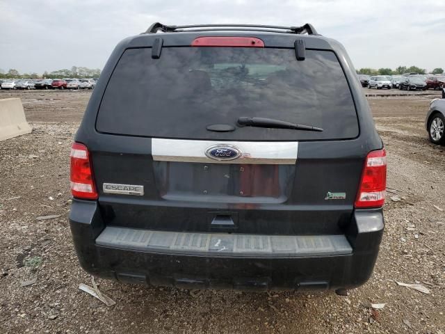 2011 Ford Escape Limited