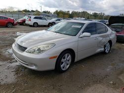 Lexus ES 330 salvage cars for sale: 2005 Lexus ES 330