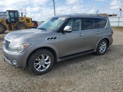 Salvage cars for sale from Copart Bismarck, ND: 2013 Infiniti QX56