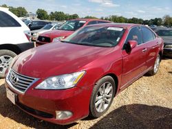 Salvage cars for sale from Copart Tanner, AL: 2011 Lexus ES 350