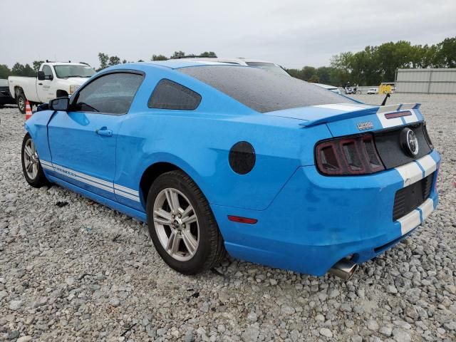 2013 Ford Mustang