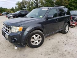 Salvage cars for sale at Candia, NH auction: 2009 Ford Escape Limited