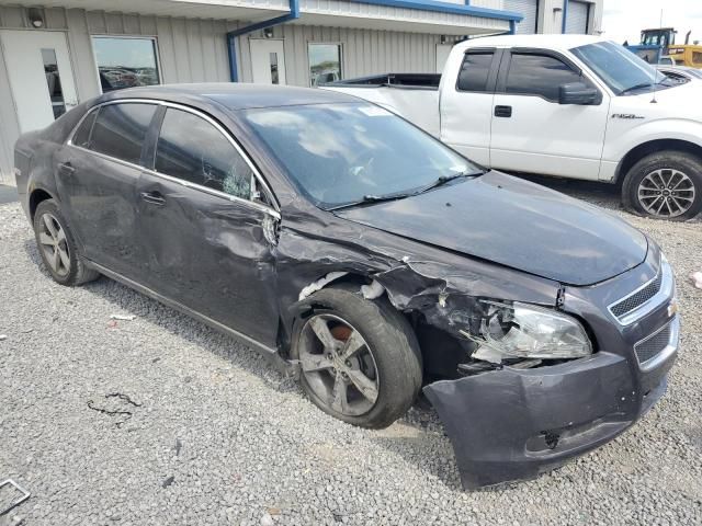 2011 Chevrolet Malibu 1LT