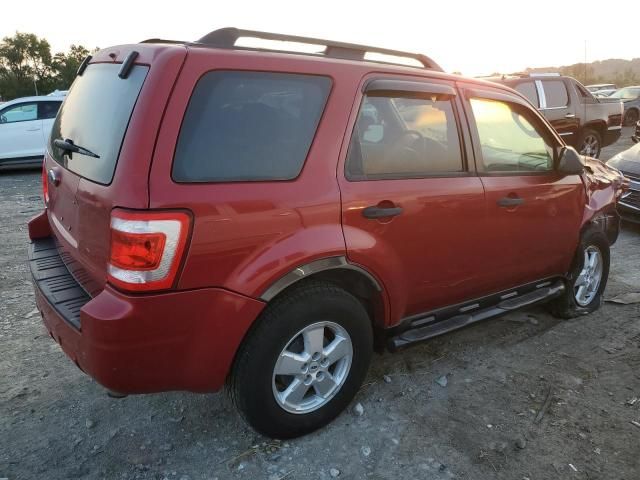 2009 Ford Escape XLT