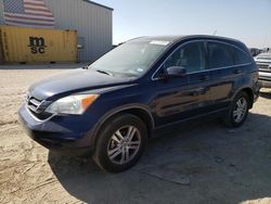Salvage cars for sale from Copart Amarillo, TX: 2010 Honda CR-V EXL