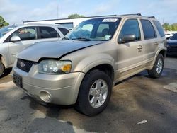 Ford salvage cars for sale: 2007 Ford Escape Limited