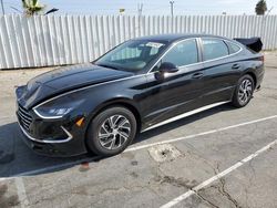 2023 Hyundai Sonata Hybrid for sale in Van Nuys, CA