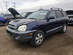 Hyundai Santa fe Vehiculos salvage en venta: 2006 Hyundai Santa FE GLS