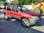 2007 Ford Escape XLT