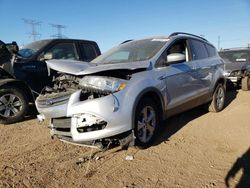 Salvage cars for sale at Dyer, IN auction: 2014 Ford Escape SE
