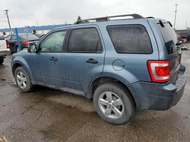 2011 Ford Escape XLT