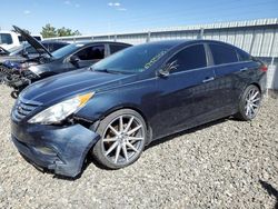 Salvage cars for sale at Reno, NV auction: 2013 Hyundai Sonata SE