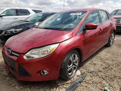 Ford Focus salvage cars for sale: 2012 Ford Focus SE