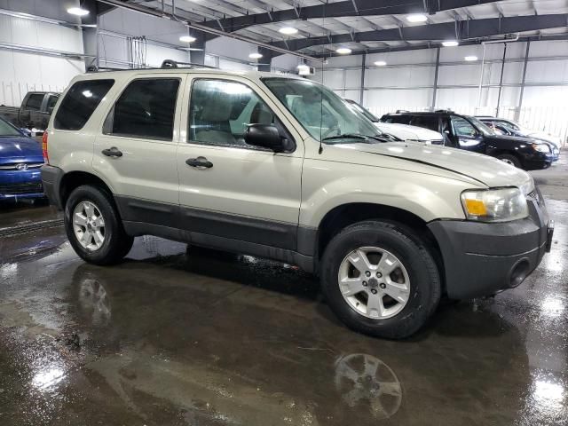 2005 Ford Escape XLT