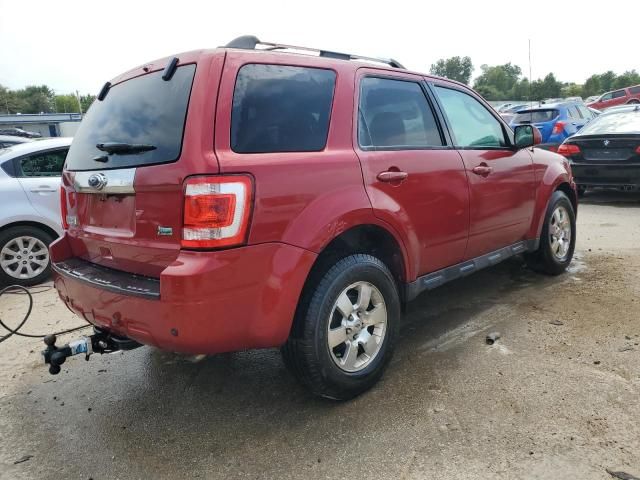 2012 Ford Escape Limited