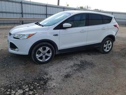 Salvage cars for sale from Copart Abilene, TX: 2015 Ford Escape SE