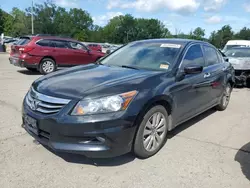 Salvage cars for sale at Marlboro, NY auction: 2012 Honda Accord EXL