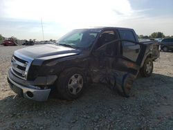 Salvage cars for sale at Cicero, IN auction: 2013 Ford F150 Supercrew