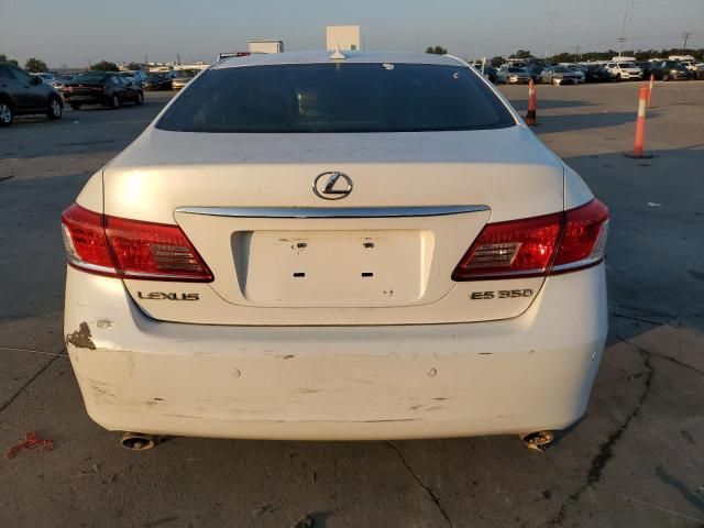 2010 Lexus ES 350