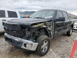 Salvage cars for sale at Magna, UT auction: 2014 Ford F150 Supercrew