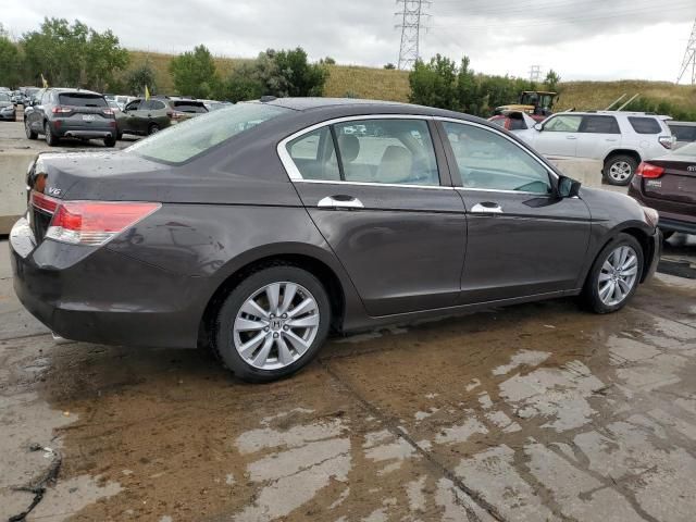 2011 Honda Accord EXL