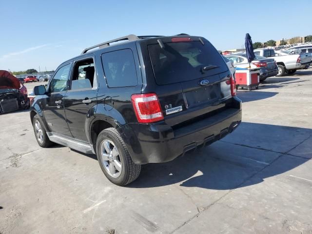 2008 Ford Escape XLT