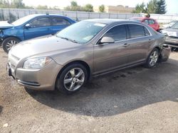 Chevrolet Malibu Vehiculos salvage en venta: 2010 Chevrolet Malibu 2LT