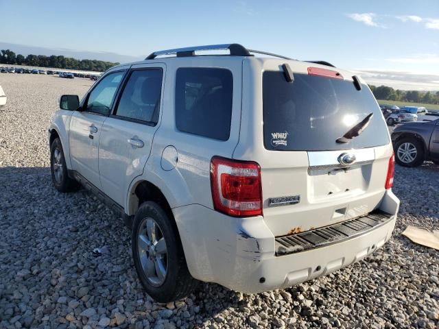 2011 Ford Escape Limited